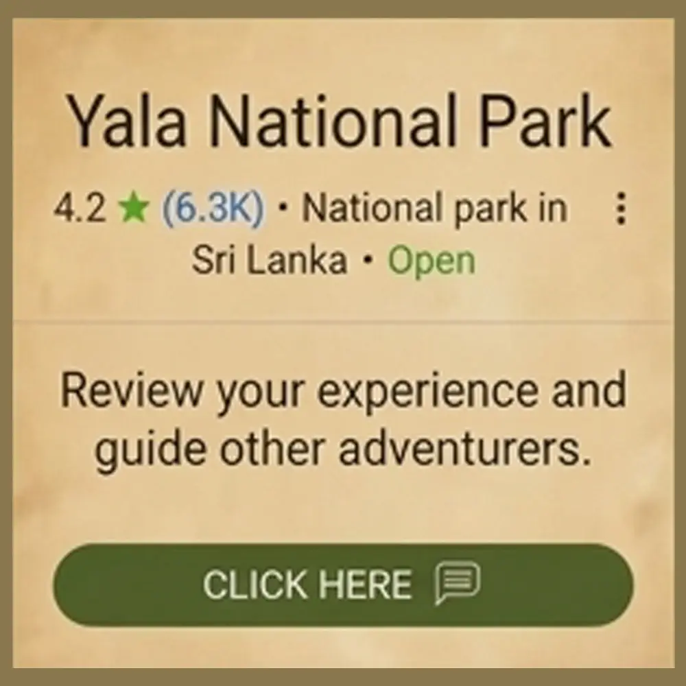 Yala National Park Google Reviews and Visitor Feedback