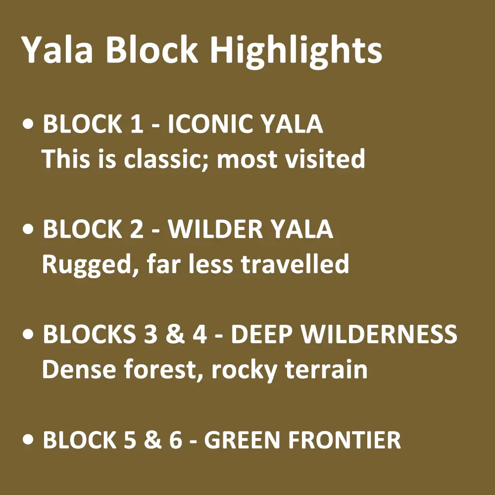 Yala National Park Blocks, Safari Entrances, and Zone Highlights