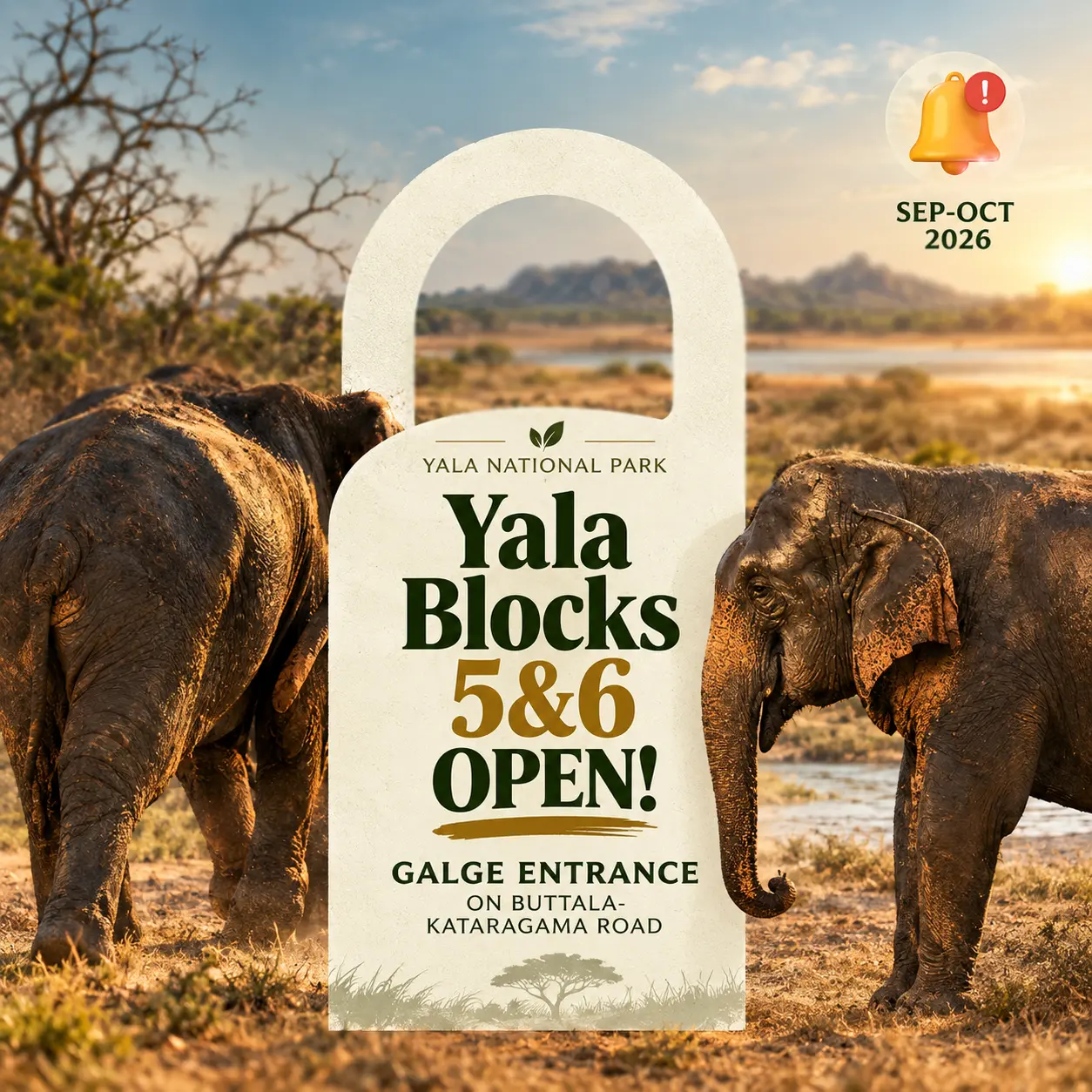 Yala National Park open status and wildlife safari Sri Lanka